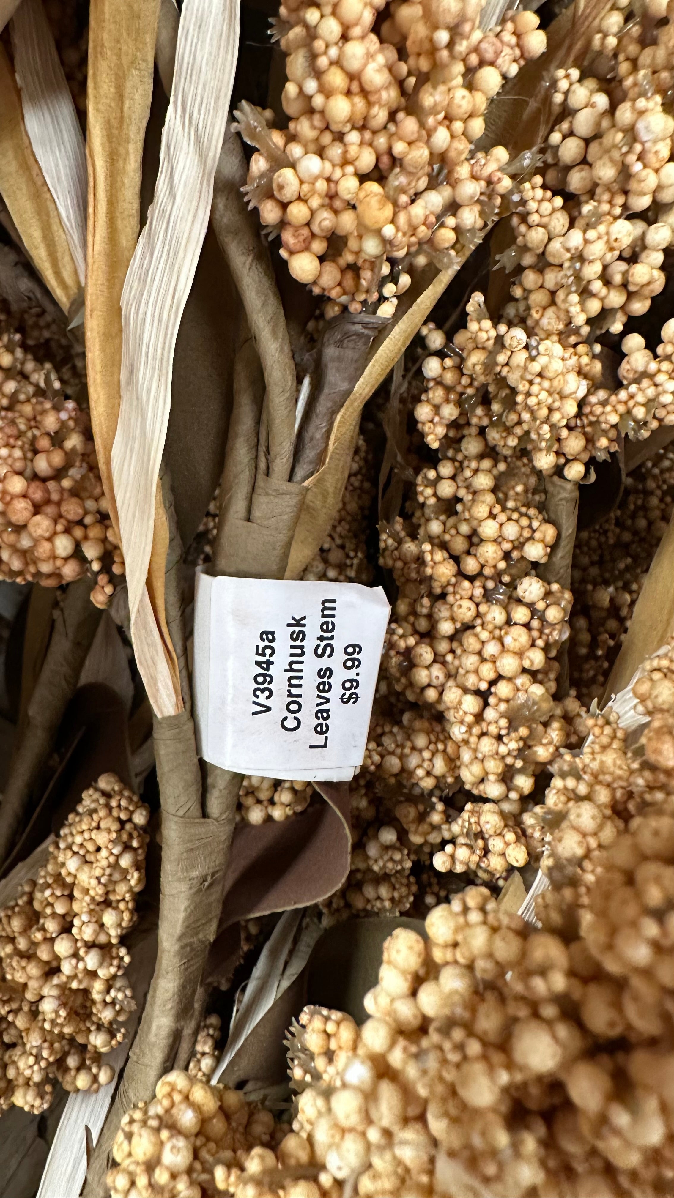 Corn Husk Leaves Stem