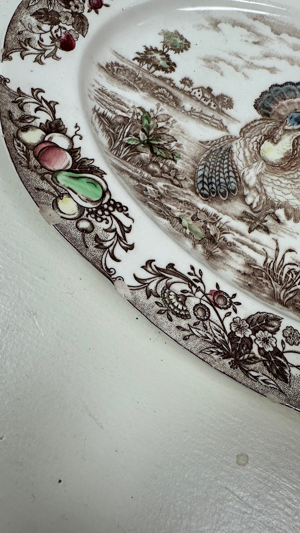Vintage Turkey Platter